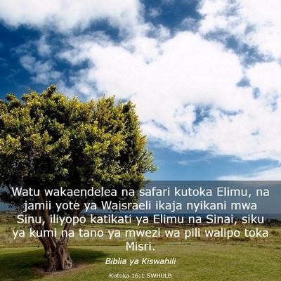 Picture 03 - Kutoka 16:1 SWHULB - Watu wakaendelea na safari kutoka Elimu, na jamii - Bible Verse Picture