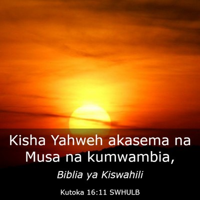 Picture 03 - Kutoka 16:11 SWHULB - Kisha Yahweh akasema na Musa na - Bible Verse Picture