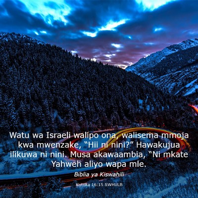 Picture 03 - Kutoka 16:15 SWHULB - Watu wa Israeli walipo ona, walisema mmoja kwa - Bible Verse Picture