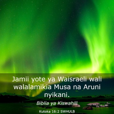 Picture 03 - Kutoka 16:2 SWHULB - Jamii yote ya Waisraeli wali walalamikia Musa na - Bible Verse Picture