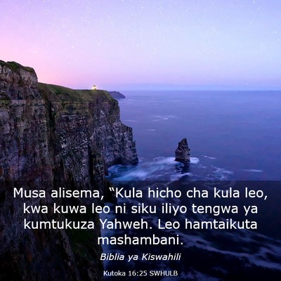 Picture 03 - Kutoka 16:25 SWHULB - Musa alisema, “Kula hicho cha kula leo, kwa - Bible Verse Picture