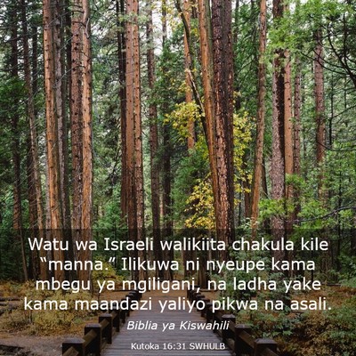 Picture 03 - Kutoka 16:31 SWHULB - Watu wa Israeli walikiita chakula kile - Bible Verse Picture