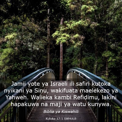 Picture 03 - Kutoka 17:1 SWHULB - Jamii yote ya Israeli ili safiri kutoka nyikani - Bible Verse Picture