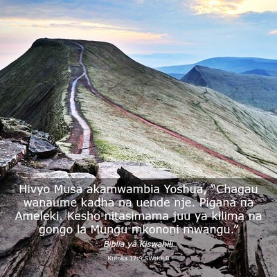 Picture 03 - Kutoka 17:9 SWHULB - Hivyo Musa akamwambia Yoshua, “Chagau wanaume - Bible Verse Picture