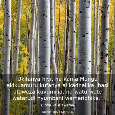 Picture 03 - Kutoka 18:23 SWHULB - Ukifanya hivi, na kama Mungu akikuamuru kufanya - Bible Verse Picture