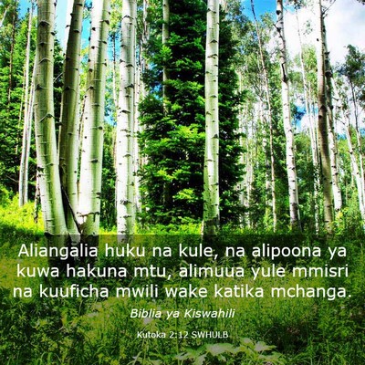 Picture 03 - Kutoka 2:12 SWHULB - Aliangalia huku na kule, na alipoona ya kuwa - Bible Verse Picture