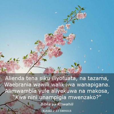 Picture 03 - Kutoka 2:13 SWHULB - Alienda tena siku iliyofuata, na tazama, - Bible Verse Picture