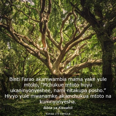 Picture 03 - Kutoka 2:9 SWHULB - Binti Farao akamwambia mama yake yule mtoto, - Bible Verse Picture