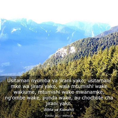 Picture 03 - Kutoka 20:17 SWHULB - Usitaman nyumba ya jirani yako; usitamani mke wa - Bible Verse Picture