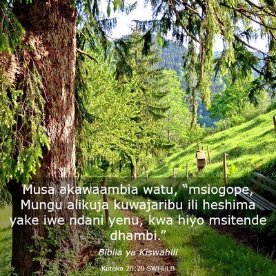 Picture 03 - Kutoka 20:20 SWHULB - Musa akawaambia watu, “msiogope, Mungu alikuja - Bible Verse Picture