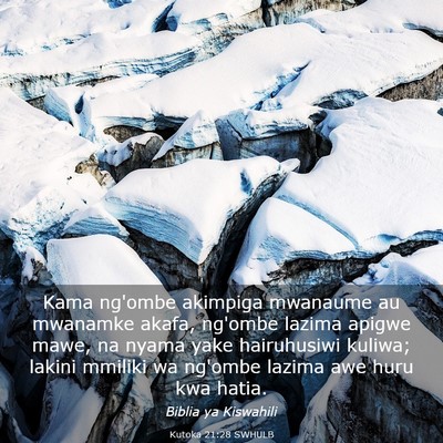 Picture 03 - Kutoka 21:28 SWHULB - Kama ng'ombe akimpiga mwanaume au mwanamke akafa, - Bible Verse Picture