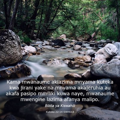 Picture 03 - Kutoka 22:14 SWHULB - Kama mwanaume akiazima mnyama kutoka kwa jirani - Bible Verse Picture