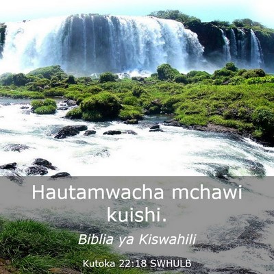 Picture 03 - Kutoka 22:18 SWHULB - Hautamwacha mchawi - Bible Verse Picture