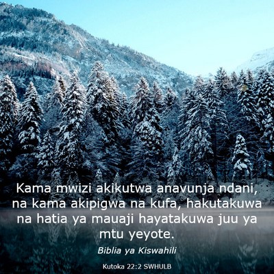 Picture 03 - Kutoka 22:2 SWHULB - Kama mwizi akikutwa anavunja ndani, na kama - Bible Verse Picture