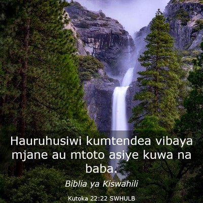 Picture 03 - Kutoka 22:22 SWHULB - Hauruhusiwi kumtendea vibaya mjane au mtoto asiye - Bible Verse Picture