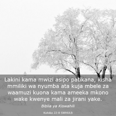 Picture 03 - Kutoka 22:8 SWHULB - Lakini kama mwizi asipo patikana, kisha mmiliki - Bible Verse Picture