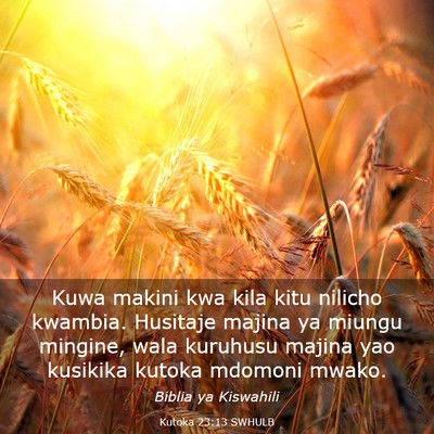 Picture 03 - Kutoka 23:13 SWHULB - Kuwa makini kwa kila kitu nilicho kwambia. - Bible Verse Picture