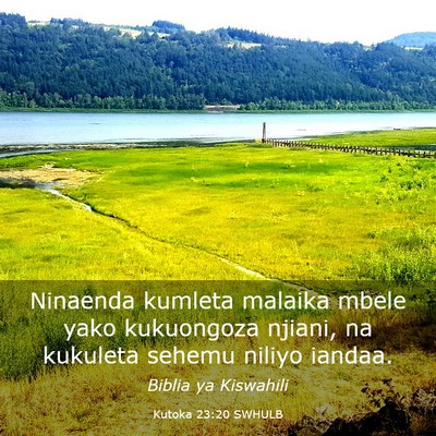 Picture 03 - Kutoka 23:20 SWHULB - Ninaenda kumleta malaika mbele yako kukuongoza - Bible Verse Picture