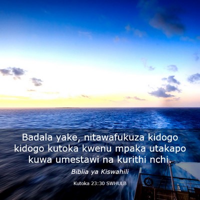 Picture 03 - Kutoka 23:30 SWHULB - Badala yake, nitawafukuza kidogo kidogo kutoka - Bible Verse Picture