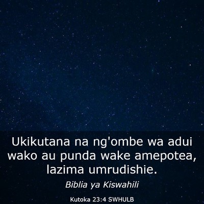 Picture 03 - Kutoka 23:4 SWHULB - Ukikutana na ng'ombe wa adui wako au punda wake - Bible Verse Picture