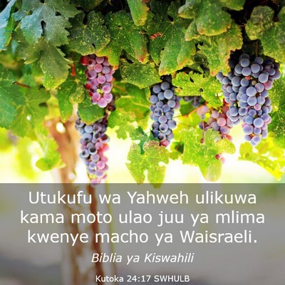 Picture 03 - Kutoka 24:17 SWHULB - Utukufu wa Yahweh ulikuwa kama moto ulao juu ya - Bible Verse Picture
