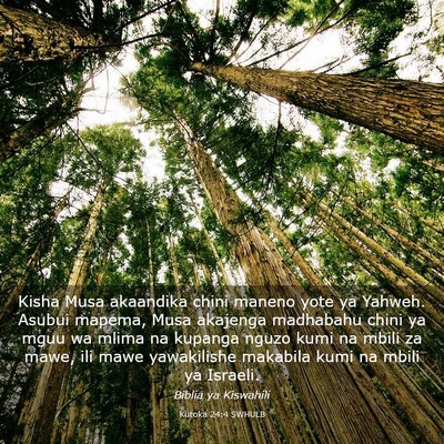 Picture 03 - Kutoka 24:4 SWHULB - Kisha Musa akaandika chini maneno yote ya Yahweh. - Bible Verse Picture