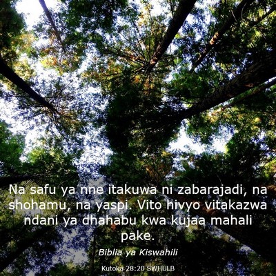Picture 03 - Kutoka 28:20 SWHULB - Na safu ya nne itakuwa ni zabarajadi, na shohamu, - Bible Verse Picture