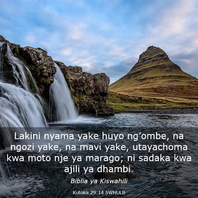 Picture 03 - Kutoka 29:14 SWHULB - Lakini nyama yake huyo ng’ombe, na ngozi yake, - Bible Verse Picture