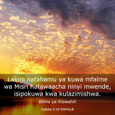 Picture 03 - Kutoka 3:19 SWHULB - Lakini nafahamu ya kuwa mfalme wa Misri - Bible Verse Picture