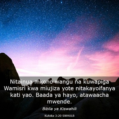 Picture 03 - Kutoka 3:20 SWHULB - Nitainua mkono wangu na kuwapiga Wamisri kwa - Bible Verse Picture