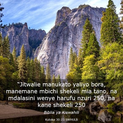 Picture 03 - Kutoka 30:23 SWHULB - “Jitwalie manukato yaliyo bora, manemane mbichi - Bible Verse Picture
