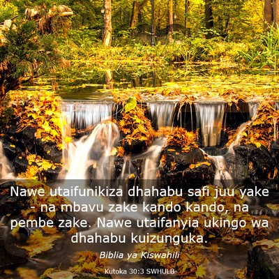 Picture 03 - Kutoka 30:3 SWHULB - Nawe utaifunikiza dhahabu safi juu yake - na - Bible Verse Picture