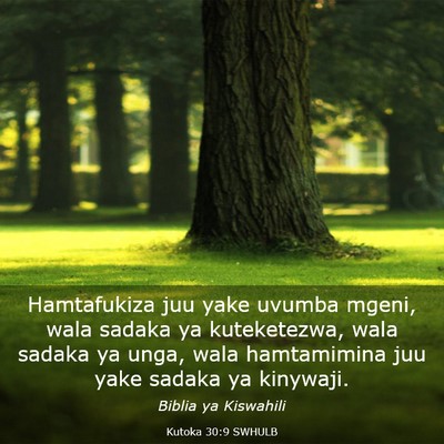 Picture 03 - Kutoka 30:9 SWHULB - Hamtafukiza juu yake uvumba mgeni, wala sadaka ya - Bible Verse Picture