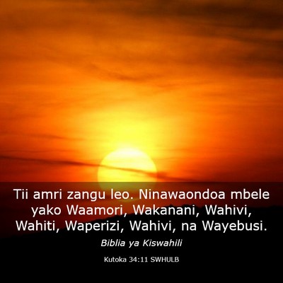 Picture 03 - Kutoka 34:11 SWHULB - Tii amri zangu leo. Ninawaondoa mbele yako - Bible Verse Picture