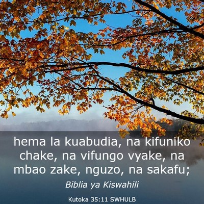 Picture 03 - Kutoka 35:11 SWHULB - hema la kuabudia, na kifuniko chake, na vifungo - Bible Verse Picture