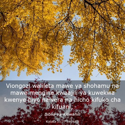 Picture 03 - Kutoka 35:27 SWHULB - Viongozi walileta mawe ya shohamu na mawe mengine - Bible Verse Picture