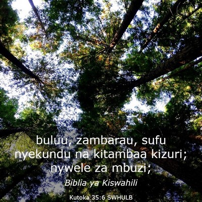 Picture 03 - Kutoka 35:6 SWHULB - buluu, zambarau, sufu nyekundu na kitambaa - Bible Verse Picture