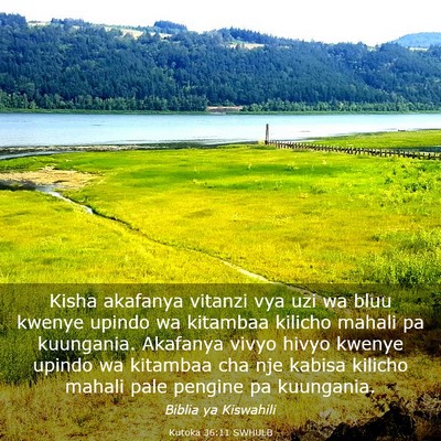 Picture 03 - Kutoka 36:11 SWHULB - Kisha akafanya vitanzi vya uzi wa bluu kwenye - Bible Verse Picture
