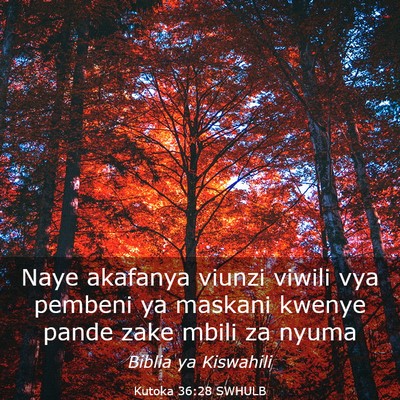 Picture 03 - Kutoka 36:28 SWHULB - Naye akafanya viunzi viwili vya pembeni ya - Bible Verse Picture