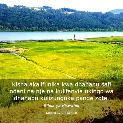 Picture 03 - Kutoka 37:2 SWHULB - Kisha akalifunika kwa dhahabu safi ndani na nje - Bible Verse Picture