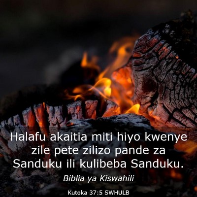 Picture 03 - Kutoka 37:5 SWHULB - Halafu akaitia miti hiyo kwenye zile pete zilizo - Bible Verse Picture