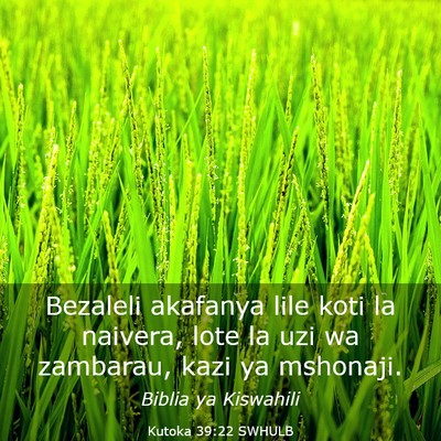 Picture 03 - Kutoka 39:22 SWHULB - Bezaleli akafanya lile koti la naivera, lote la - Bible Verse Picture