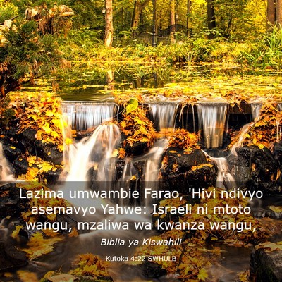 Picture 03 - Kutoka 4:22 SWHULB - Lazima umwambie Farao, 'Hivi ndivyo asemavyo - Bible Verse Picture