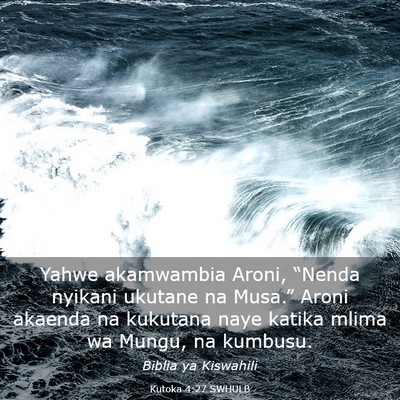 Picture 03 - Kutoka 4:27 SWHULB - Yahwe akamwambia Aroni, “Nenda nyikani ukutane - Bible Verse Picture