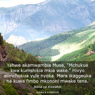 Picture 03 - Kutoka 4:4 SWHULB - Yahwe akamwambia Musa, “Mchukue kwa kumshikia - Bible Verse Picture