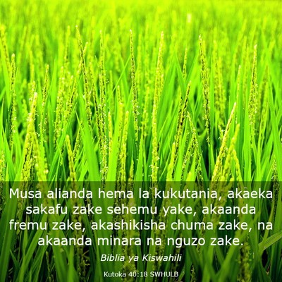 Picture 03 - Kutoka 40:18 SWHULB - Musa alianda hema la kukutania, akaeka sakafu - Bible Verse Picture