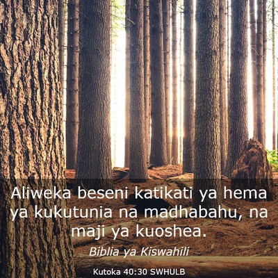 Picture 03 - Kutoka 40:30 SWHULB - Aliweka beseni katikati ya hema ya kukutunia na - Bible Verse Picture