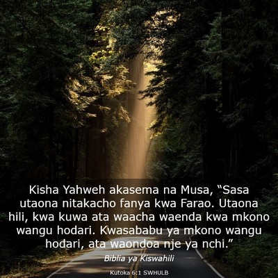 Picture 03 - Kutoka 6:1 SWHULB - Kisha Yahweh akasema na Musa, “Sasa utaona - Bible Verse Picture