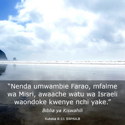 Picture 03 - Kutoka 6:11 SWHULB - “Nenda umwambie Farao, mfalme wa Misri, awaache - Bible Verse Picture