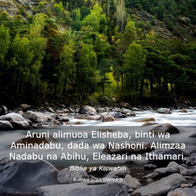 Picture 03 - Kutoka 6:23 SWHULB - Aruni alimuoa Elisheba, binti wa Aminadabu, dada - Bible Verse Picture